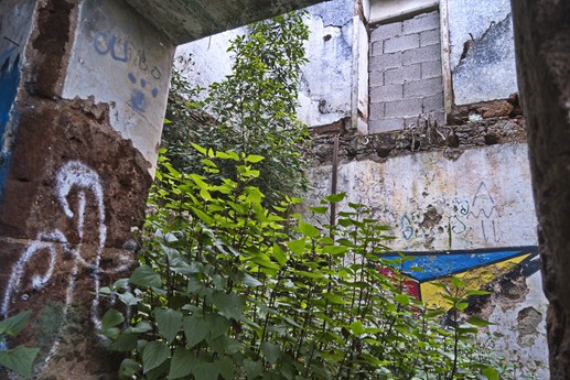 30 luglio Casa Franco